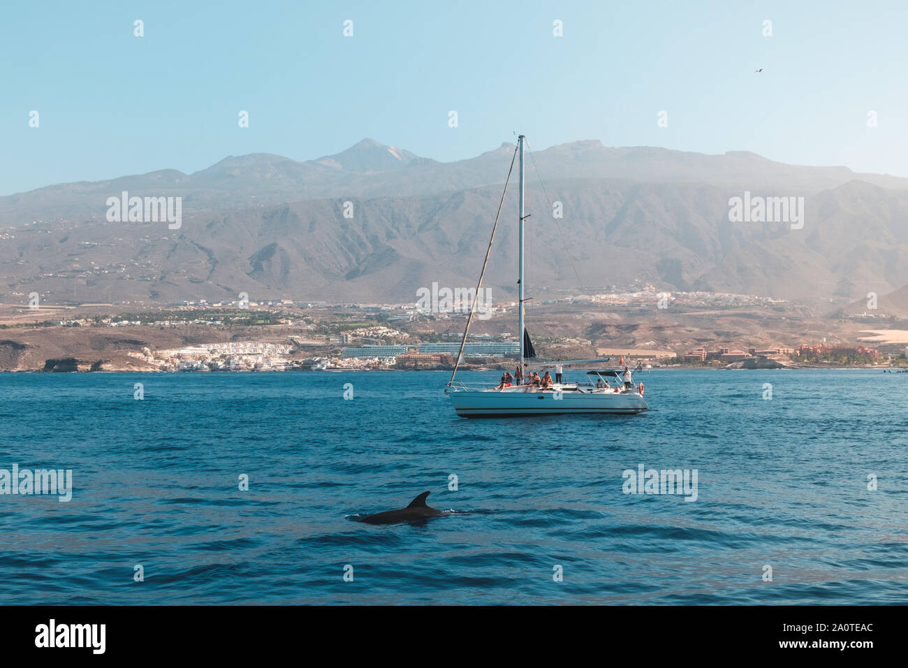 Gruppo di persone in barca per il whale watching tour guardando delfino - Foto Stock