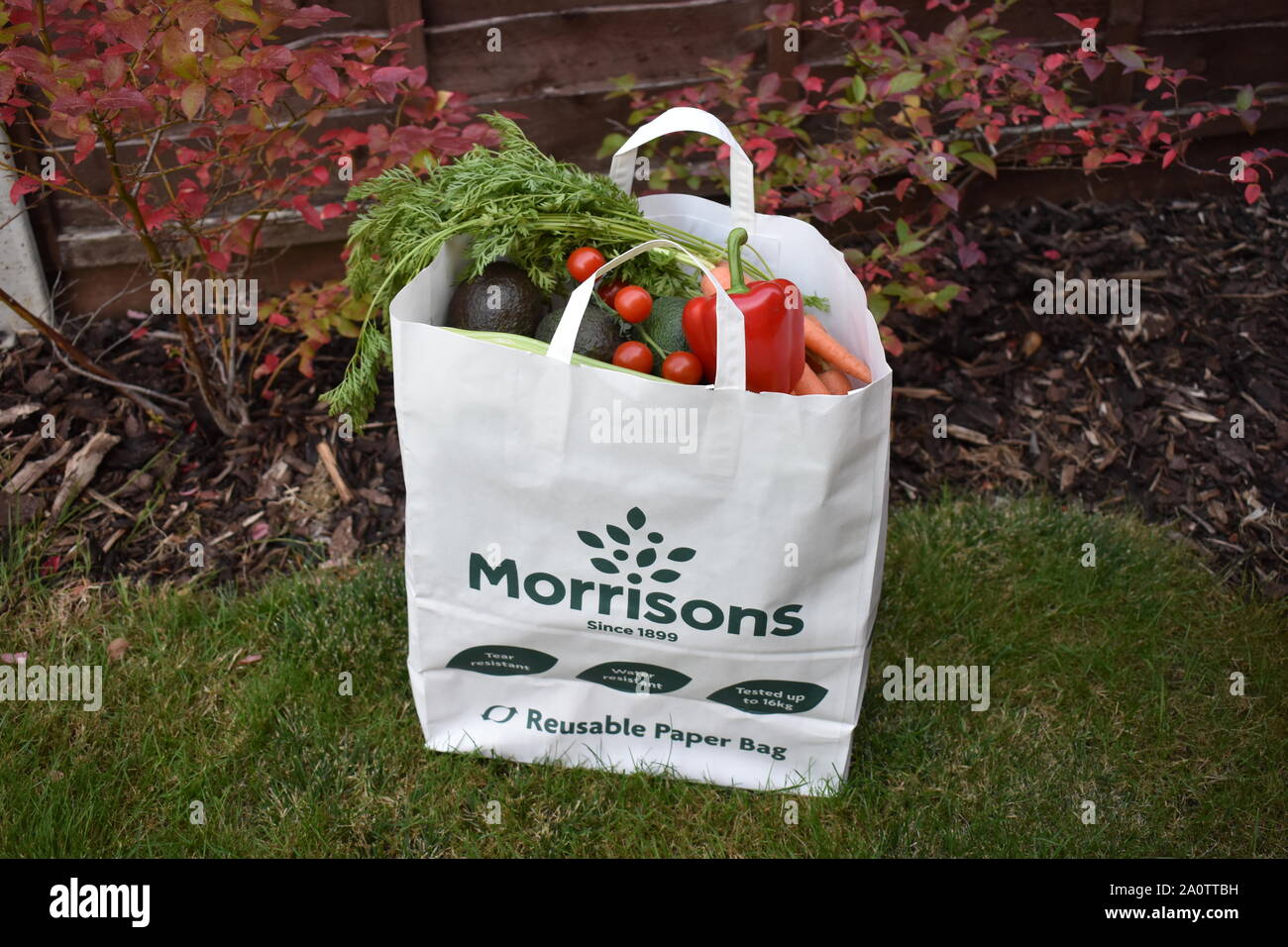 Morrisons supermercato carta borsa di trasporto. Criteri ecologici alternativi alla plastica. Riempito con verdure fresche in un ambiente naturale. Foto Stock