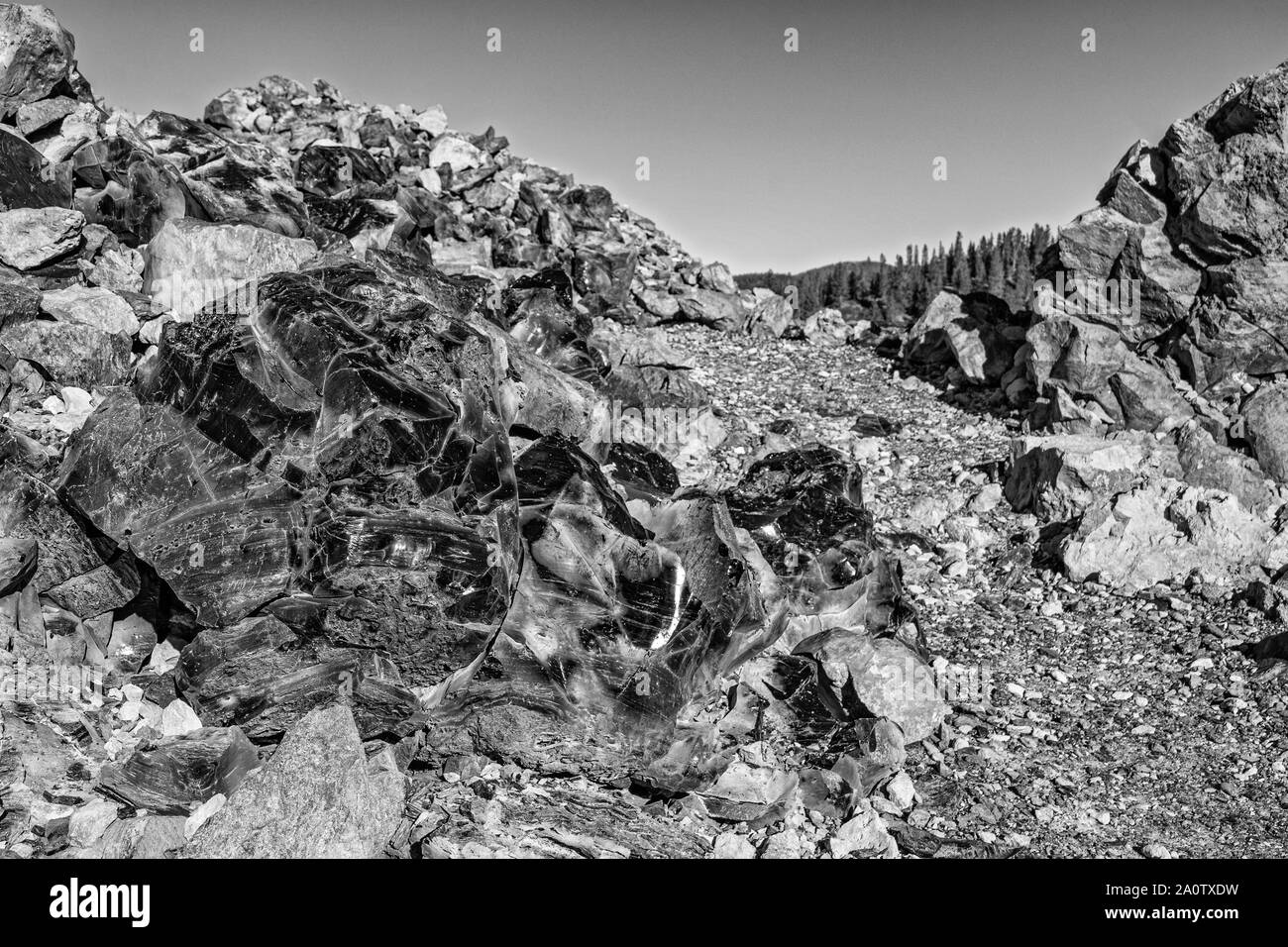 Oregon, Newberry nazionale monumento vulcanico, grande flusso di ossidiana Trail, monocromatico Foto Stock