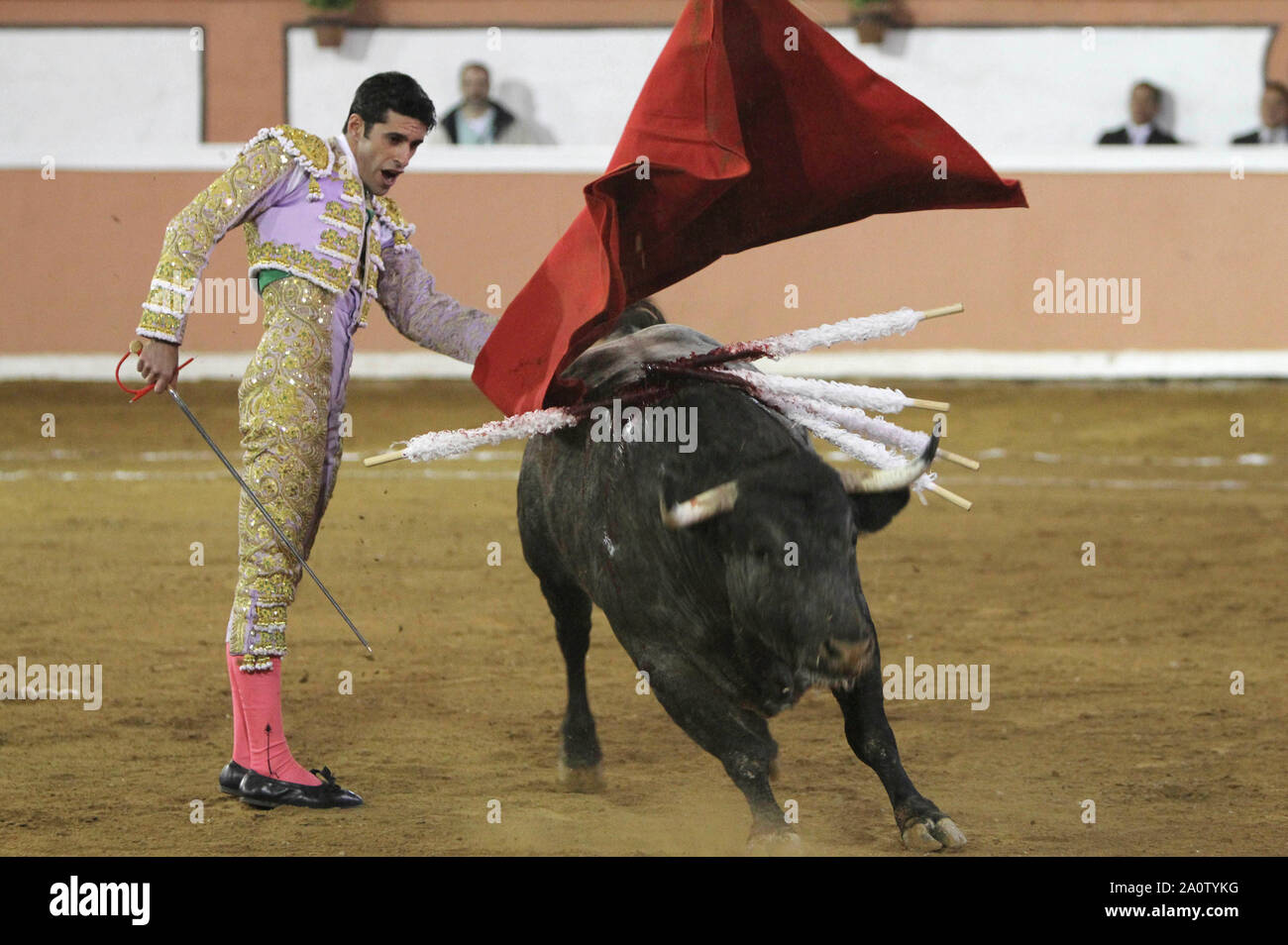 Viernes 8, Enero 2013. Alejandro Talavante y Octavio García " El Payo' salieron a hombros de la plaza de toros de Juriquilla tras cortar dos orejas cada uno de onu buen encierro de Los Encinos. Hermoso de Mendoza no pudo acompañar en volandas a los Toreros de una torta por su fallo con el rejón de muerte. Rodolfo Bello, que tomaba la alternativa, fue ovacionado. A7F /NortePhoto Foto Stock