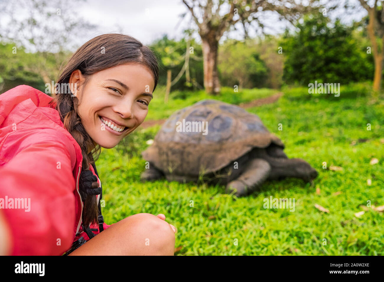 Le Galapagos avventura di viaggio turistico a isole Galapagos tenendo selfie foto di Tartarughe Giganti sull isola di Santa Cruz in Isole Galapagos. Gli animali e la natura in Galápagos highlands. Foto Stock