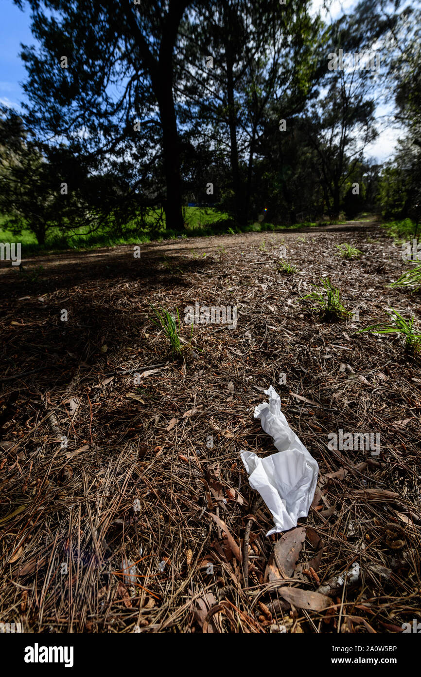 Salviette scartati per lettiera la pista ciclabile Foto Stock