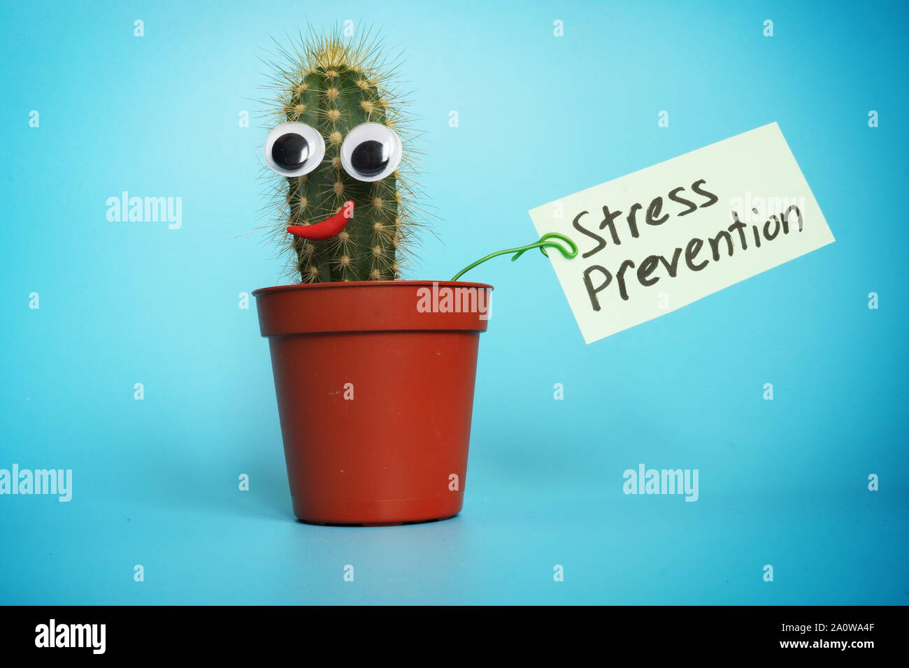 La prevenzione dello stress segno e cactus con sorriso. Foto Stock