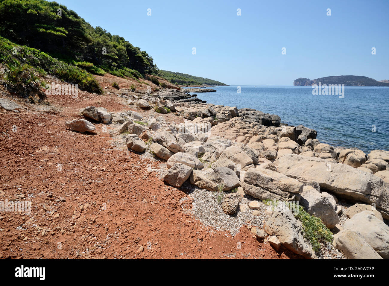 Vista panoramica della costa di Punta Giglio nel Porto Conte parco naturale su una soleggiata giornata estiva. Capo Caccia cliff in background. Un singolo Foto Stock