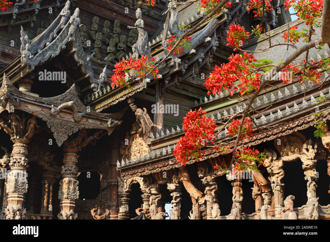 Il Santuario della Verità fatta di legno e fiori di colore rosso su un albero in Pattaya, Chonburi, Thailandia. Destinazioni di viaggio per il turista. Foto Stock