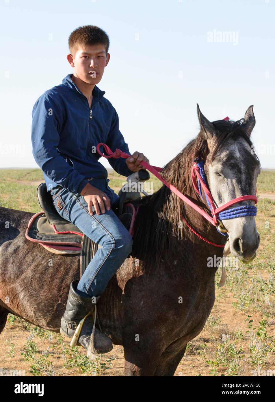 Giovane pastore a cavallo con il suo gregge di pecore nella steppa del Kazakistan Foto Stock