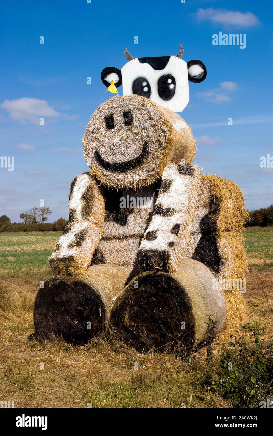 Animale di paglia Foto Stock