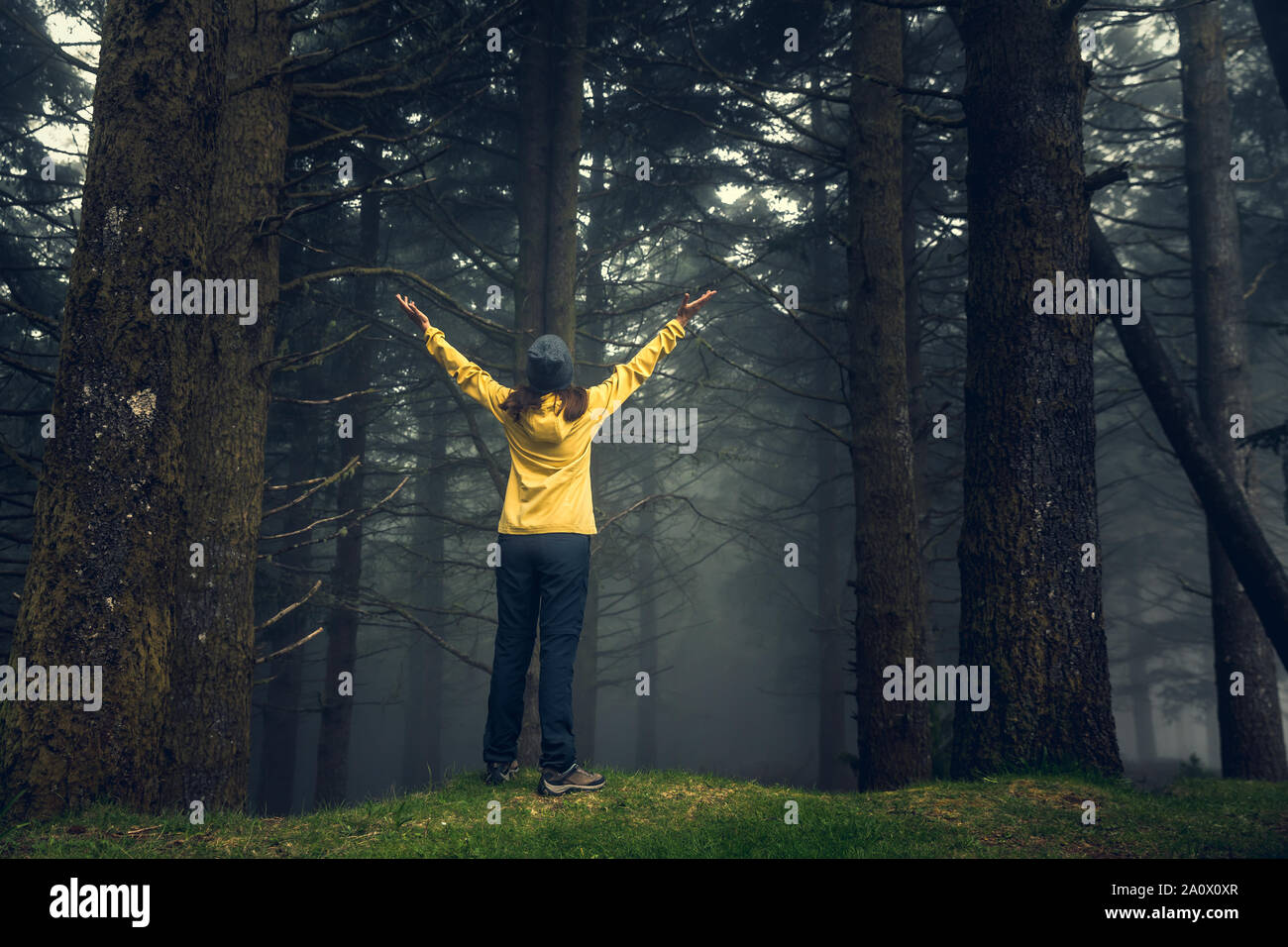 Viaggiatori femmina con le braccia sollevate godendo la foresta su una mattinata nebbiosa Foto Stock