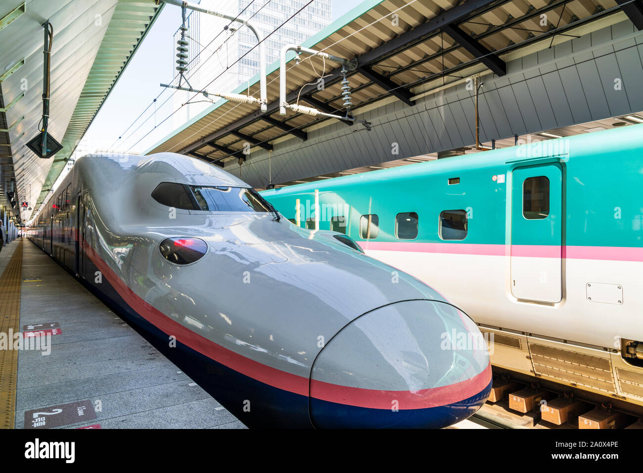 La stazione di Tokyo. Vista lungo la piattaforma con una E4 serie MAX double decker shinkansen, bullet train, alla piattaforma. Angolo basso dalla parte anteriore del treno. Foto Stock