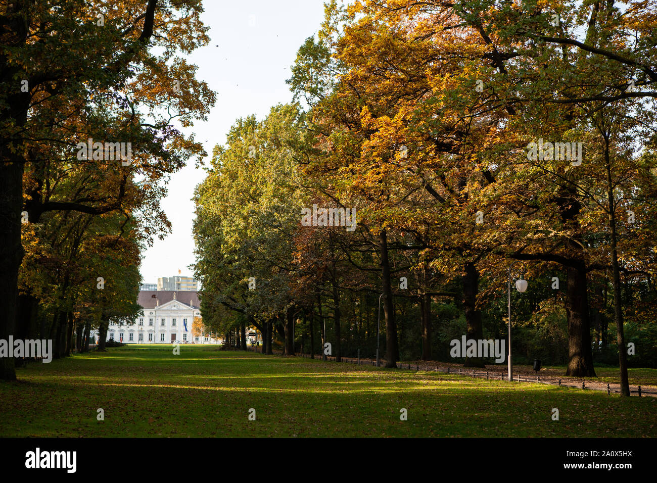 In autunno il parco Tiergarten di Berlino Foto Stock