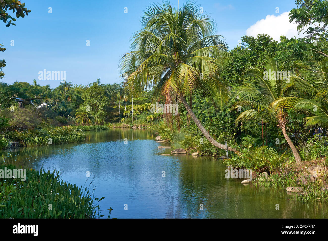 Un orlata di palme per via navigabile in giardini dalla baia di Marina Bay, Singapore, una delle città-stato di attrazioni principali e una grande attrazione turistica Foto Stock