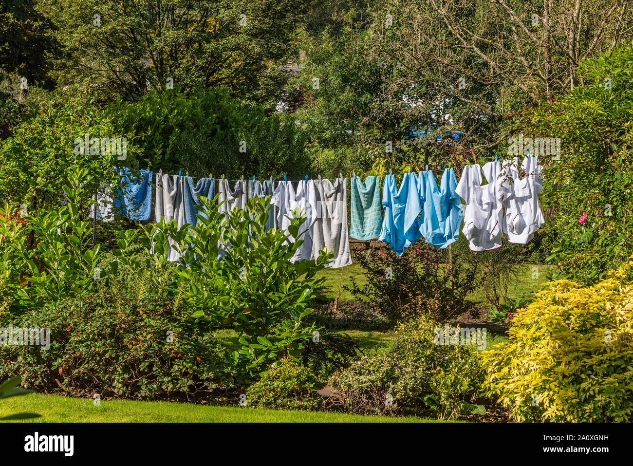 Abbigliamento colorato essiccazione su una linea di lavaggio. Foto Stock