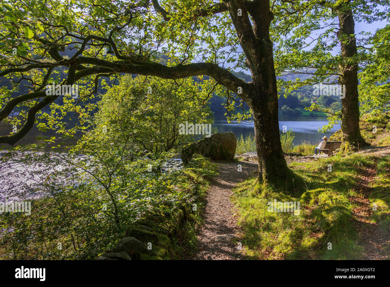 Grasmere di fiume e di lago Rydal, Autunno sunshine attraverso gli alberi Foto Stock