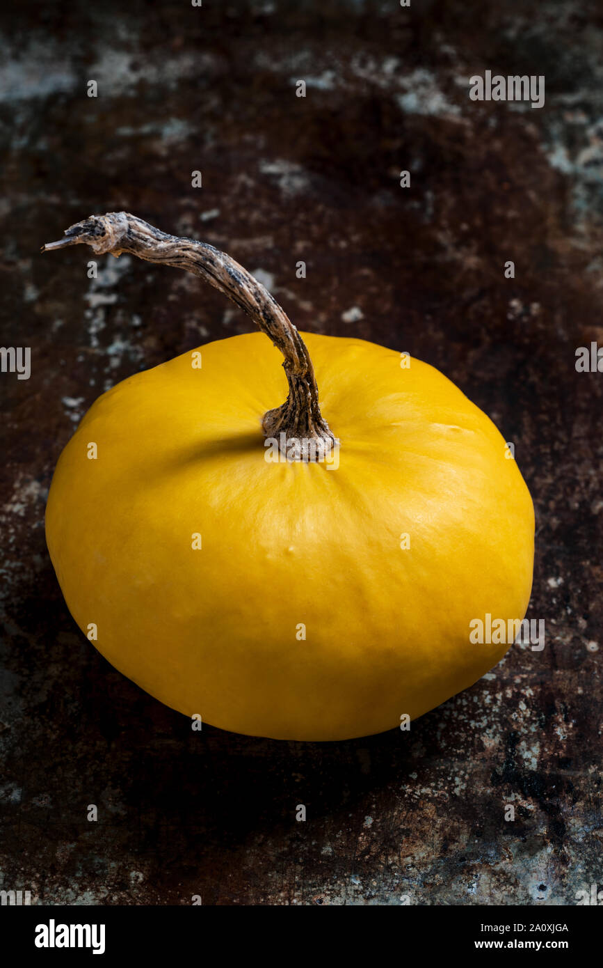 Felice ringraziamento dello sfondo. Close up di un po' di zucca decorativa, zucca, sul metallo rustico sfondo. Autumn harvest e vacanze ancora minimo li Foto Stock