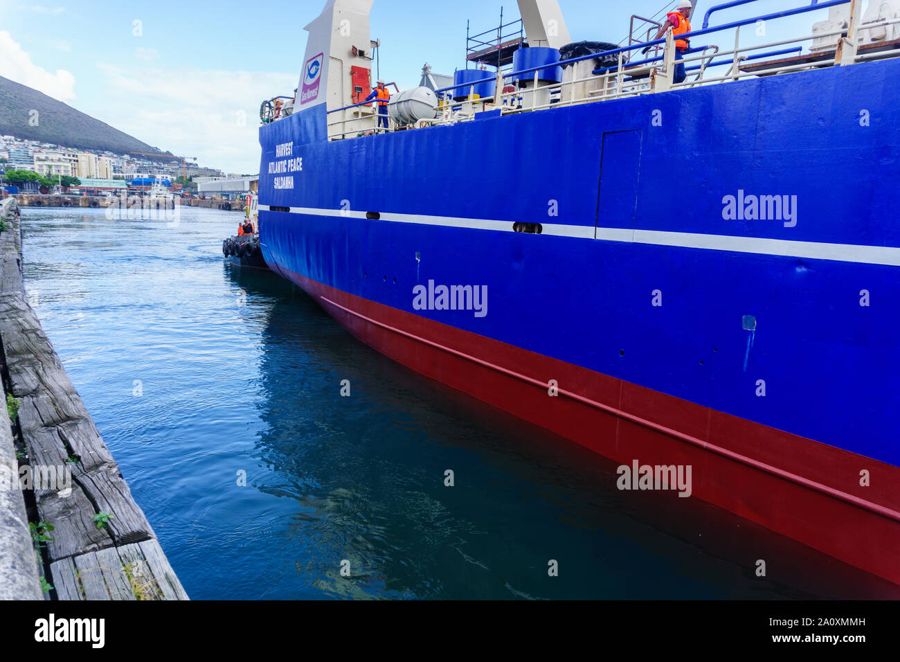 Il peschereccio Harvest Atlantic pace naviga del Sudafrica Cape Town Waterfront canale dopo un bacino a secco Servizio e paint job. Foto Stock