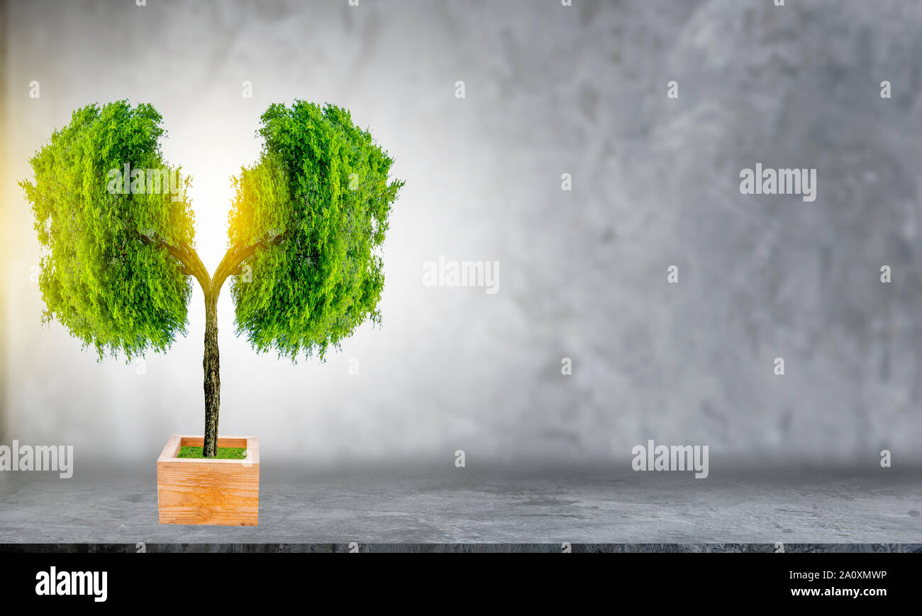 Polmone verde a forma di albero di immagini, concetti medici, autopsia, visualizzazione 3D e animali come un elemento Foto Stock