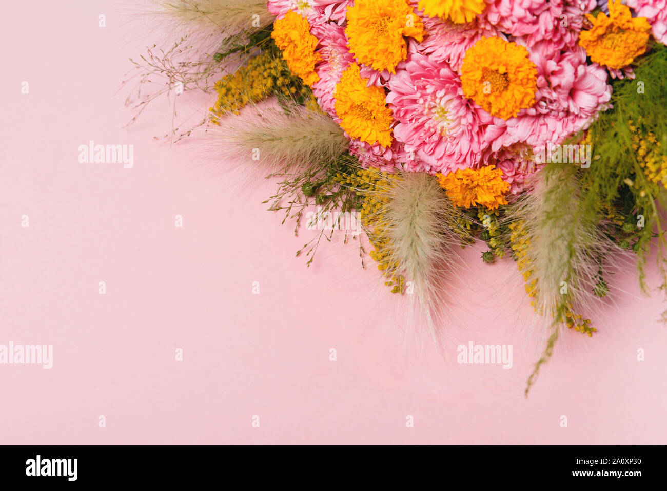 Bouquet di fiori d'autunno, rosa e giallo aestri e foglie di autunno e le erbe sul pastello sfondo rosa Foto Stock
