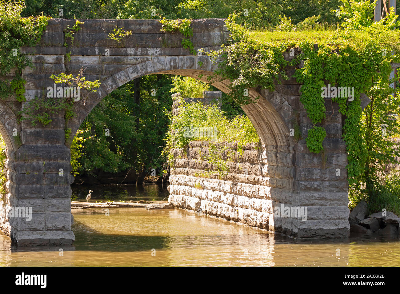 Seneca fiume acquedotto, Canale Erie, New York Foto Stock