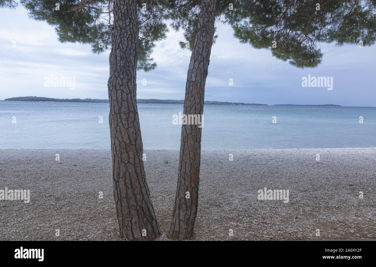Durante la stagione estiva in Croazia Foto Stock