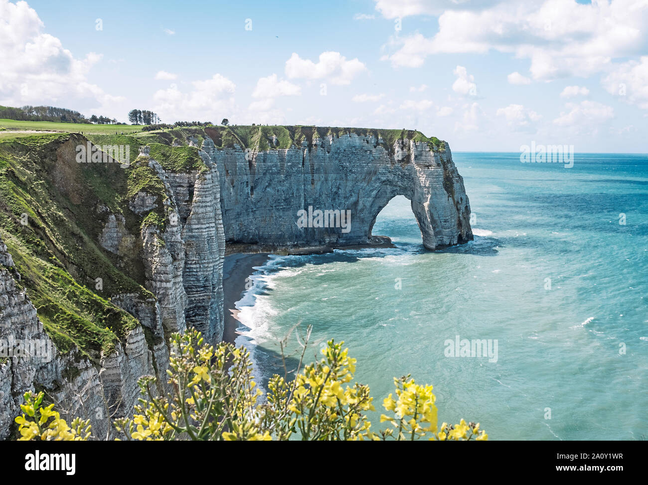 La costa vicino a Etretat in Normandie Francia Foto Stock