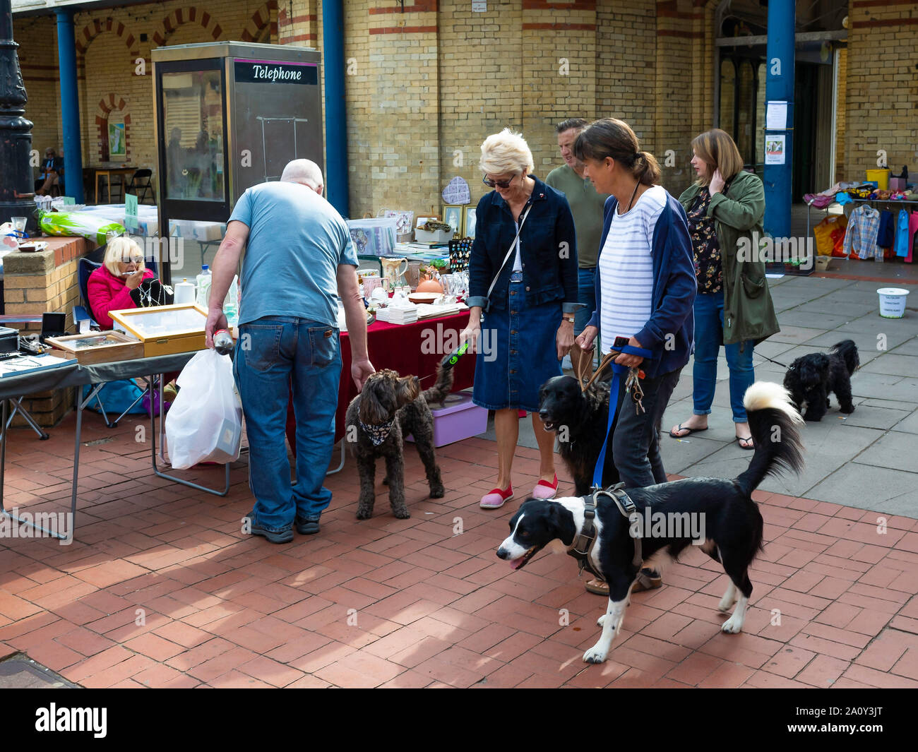 Un incontro di amici a spasso i loro cani di domenica a bric a brac mercato del Saltburn dal Sea North Yorkshire Foto Stock