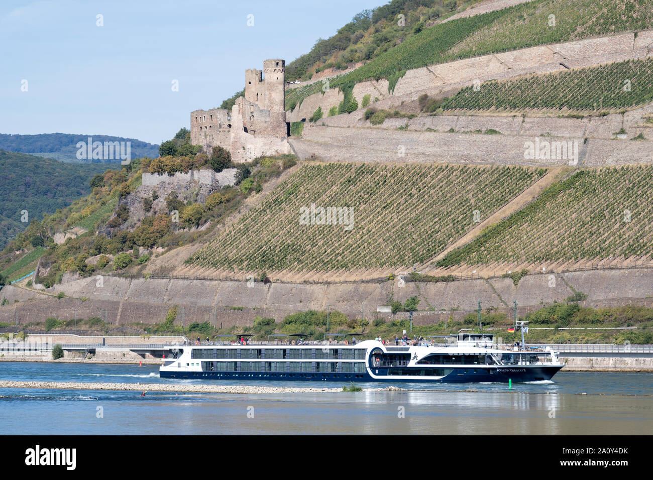 River Cruise Ship AVALON IMMAGINI II passando Ehrenfels Castello. Avalon vie navigabili è una crociera sul fiume società posseduta dal Globus famiglia di marchi. Foto Stock