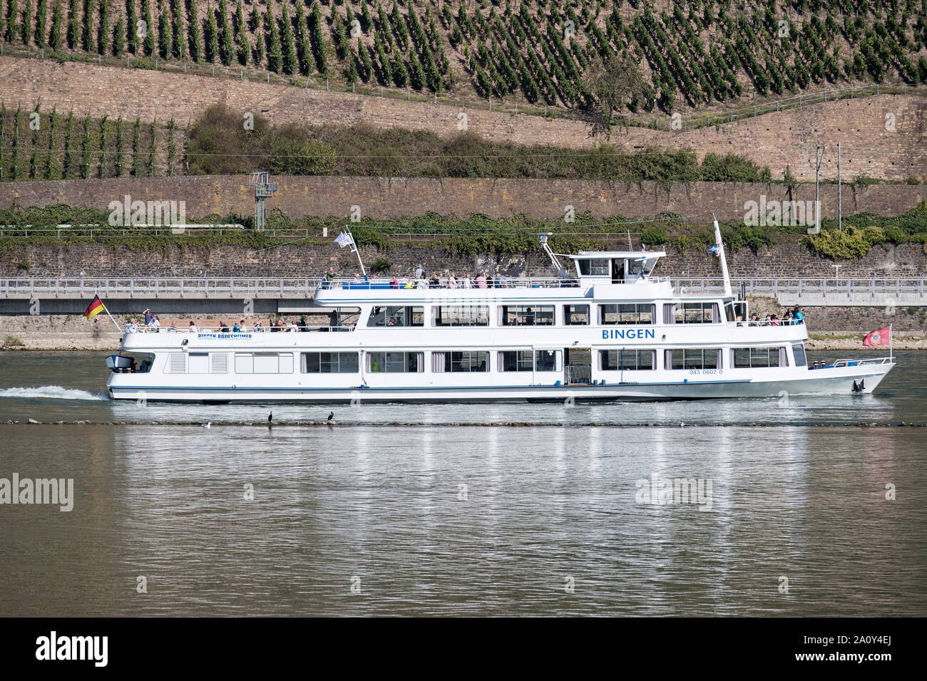 Escursione in barca di Bingen Bingen-Rüdesheimer sul fiume Reno Foto Stock