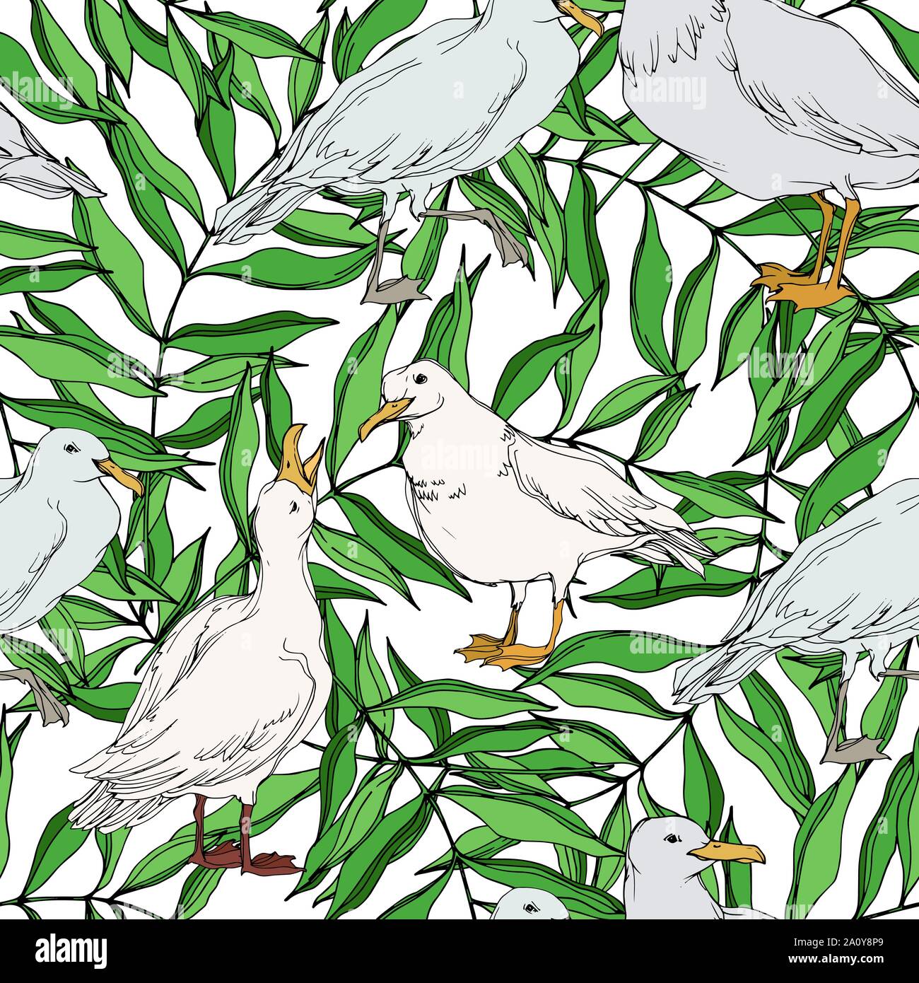 Vettore di uccelli del cielo seagull in una fauna selvatica. Bianco e nero inchiostro inciso art. Perfetta configurazione di sfondo. Carta da parati in tessuto texture stampa su bianco backgrou Illustrazione Vettoriale