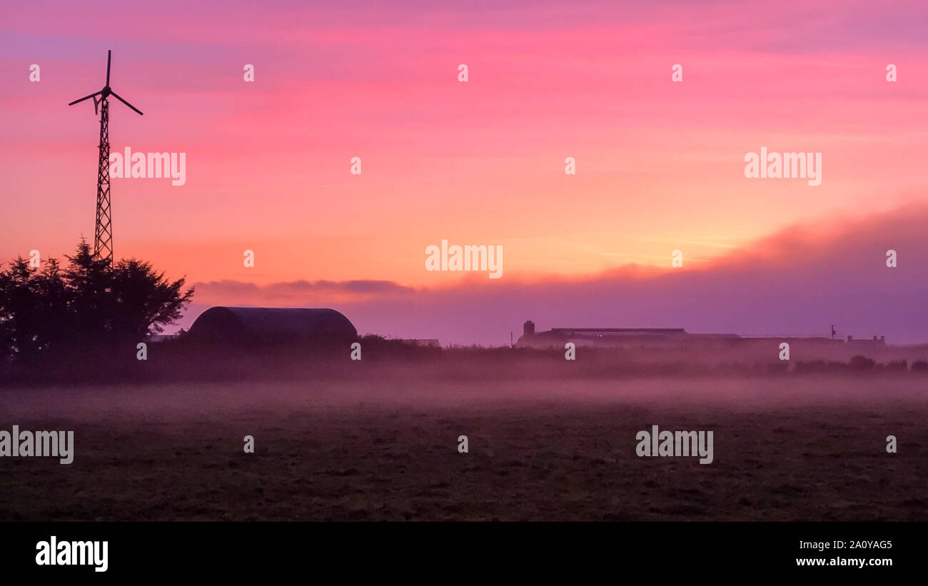 La mattina presto sunrise in una fattoria in Irlanda con bassa velatura in campi di th Foto Stock