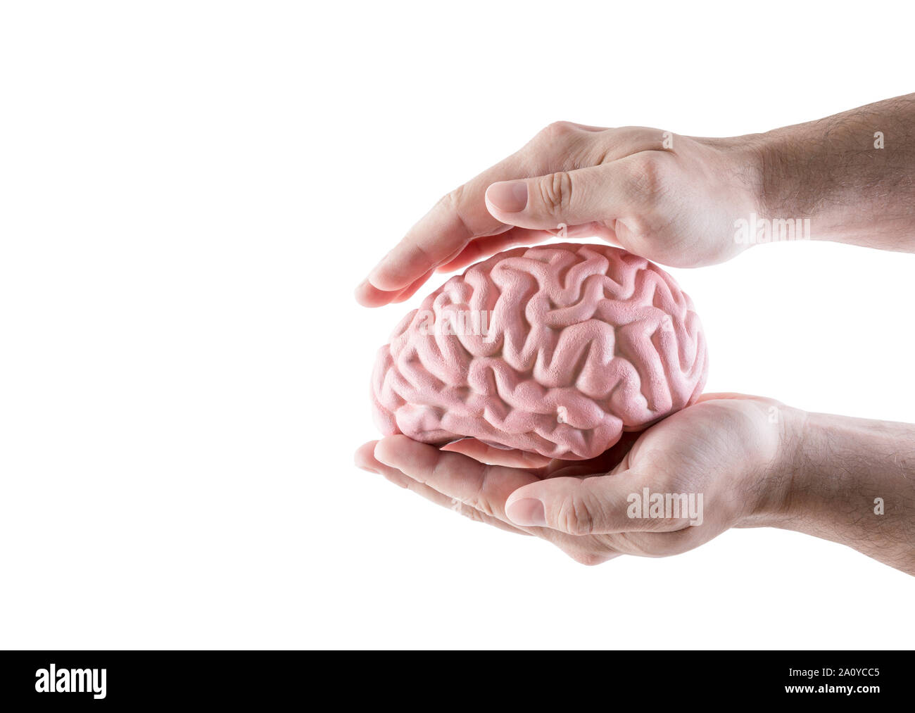 Cervello umano coperti da mani isolati su sfondo bianco Foto Stock