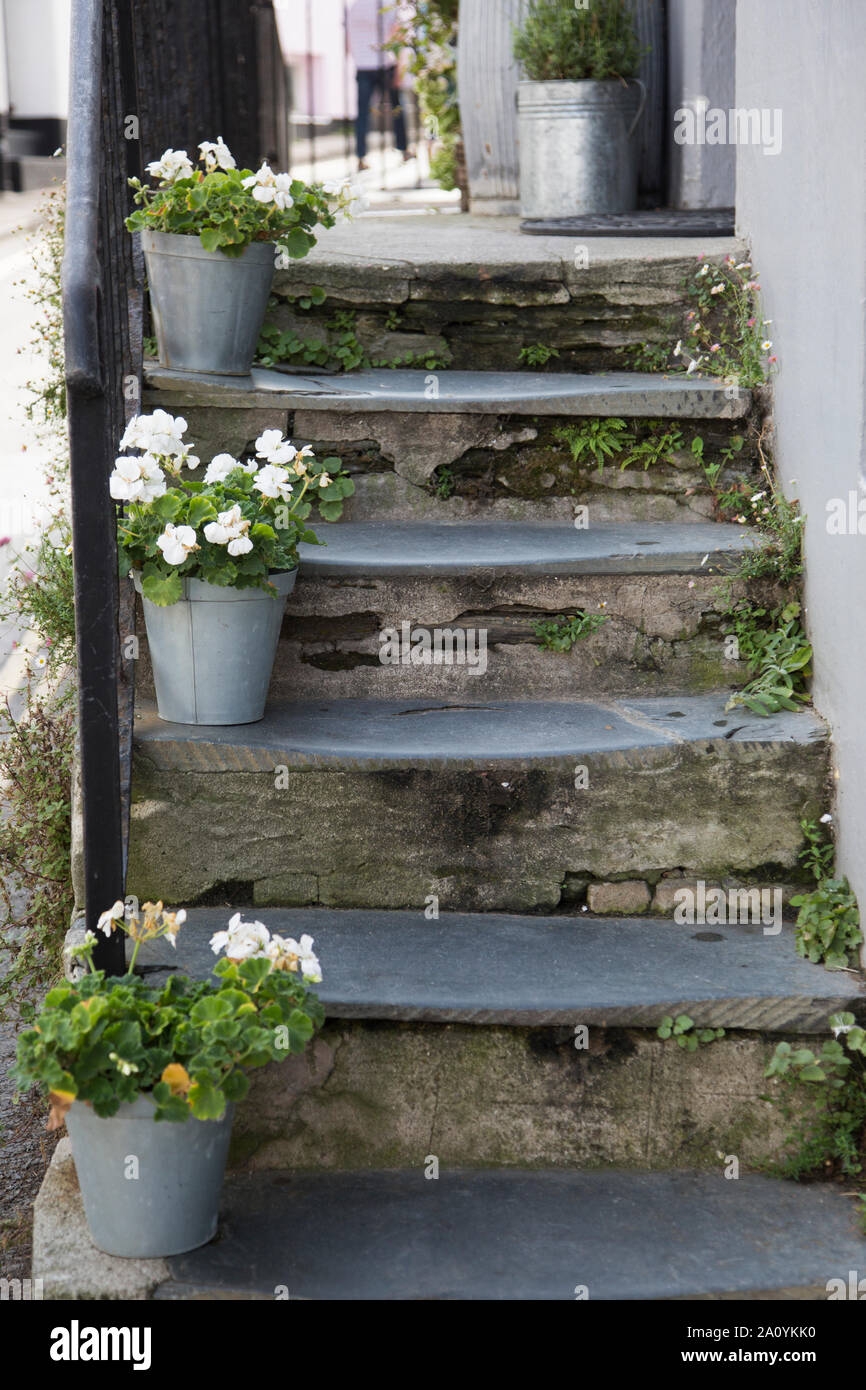 Vecchia procedura di ardesia con vecchie benne di stagno su di loro pieno di fiori bianchi in una giornata di sole in Salcombe ,devon Foto Stock