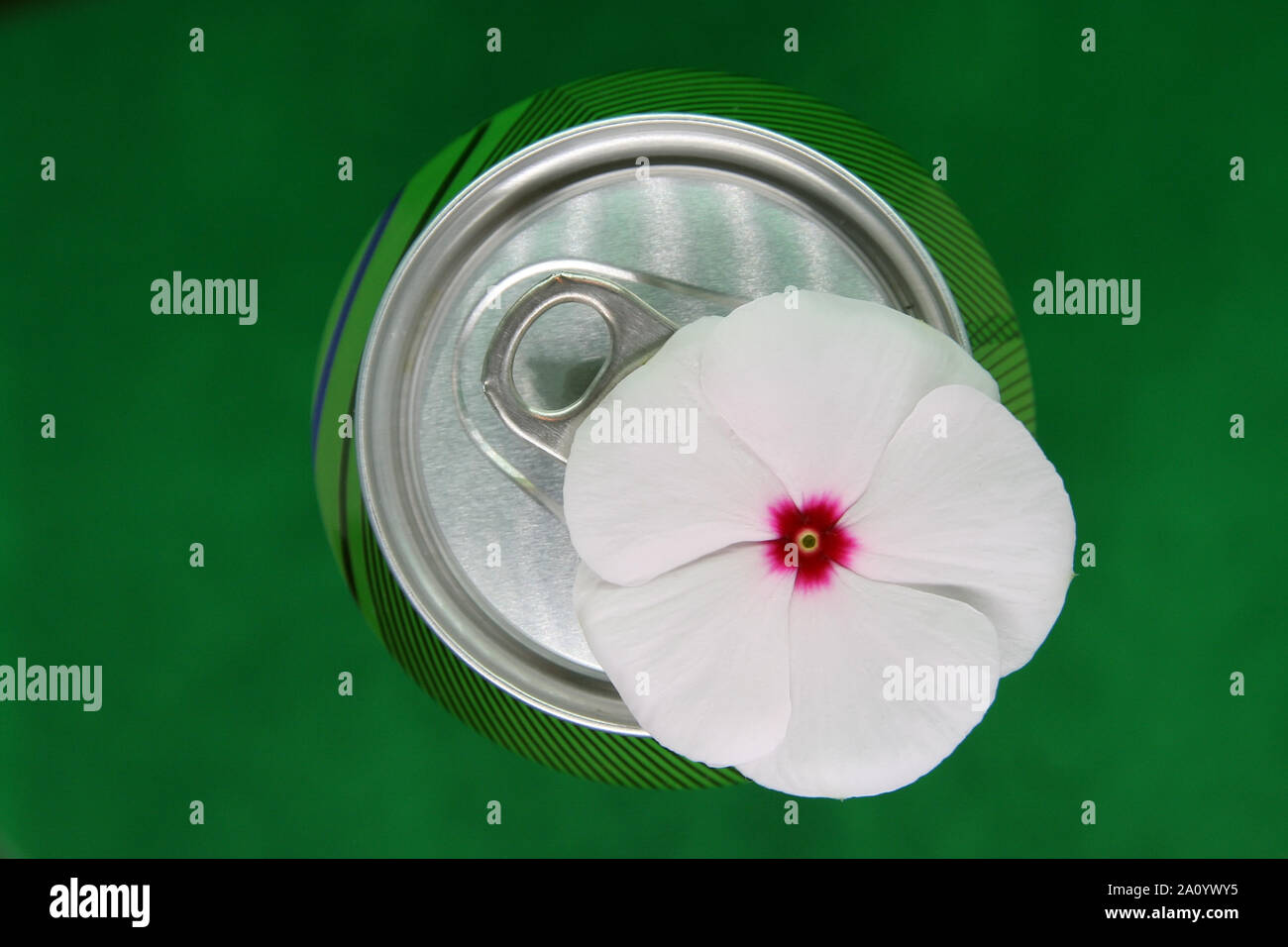 Soda può bere e fiore. Drink di soda di stagno e di fiore. La natura e il riciclaggio. Foto Stock