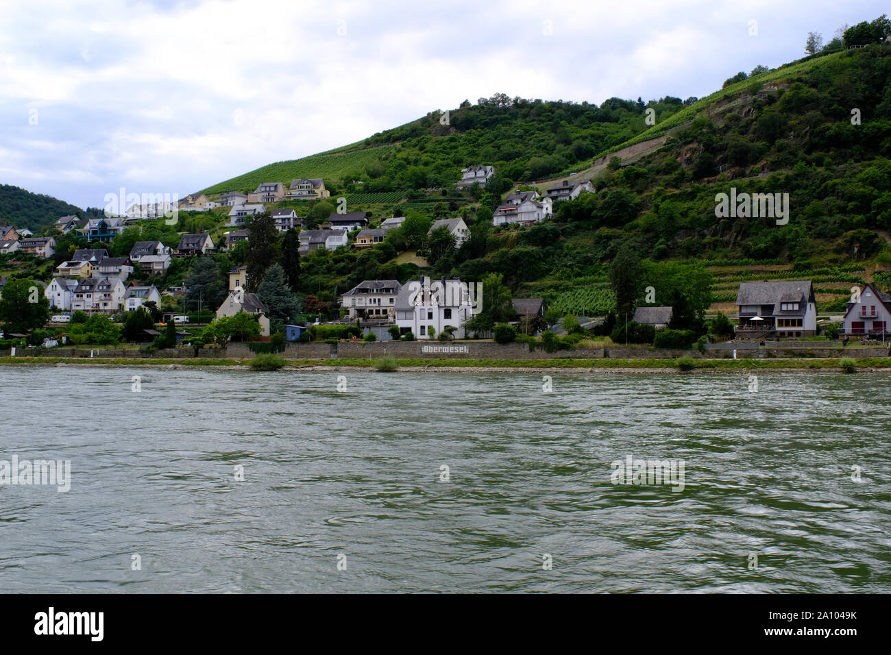 Vista della banca di fiume sul fiume Reno in Germania da un longboat Foto Stock