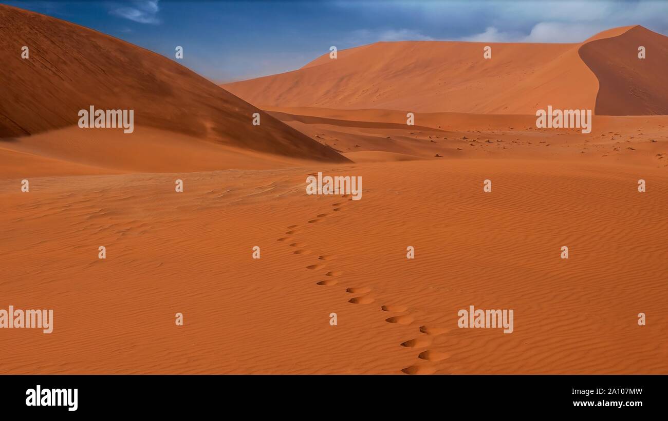 Un insieme di impronte nella sabbia in grandi dune rosse di Sossusvlei, Namib Desert, Namibia. Il vento soffia sabbia fuori dalla parte superiore delle dune. Foto Stock