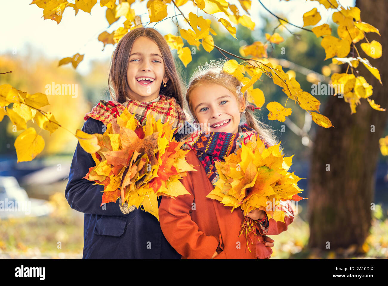 Due graziosi sorridente 8 anni le ragazze in posa insieme in un parco su una soleggiata giornata autunnale. Foto Stock