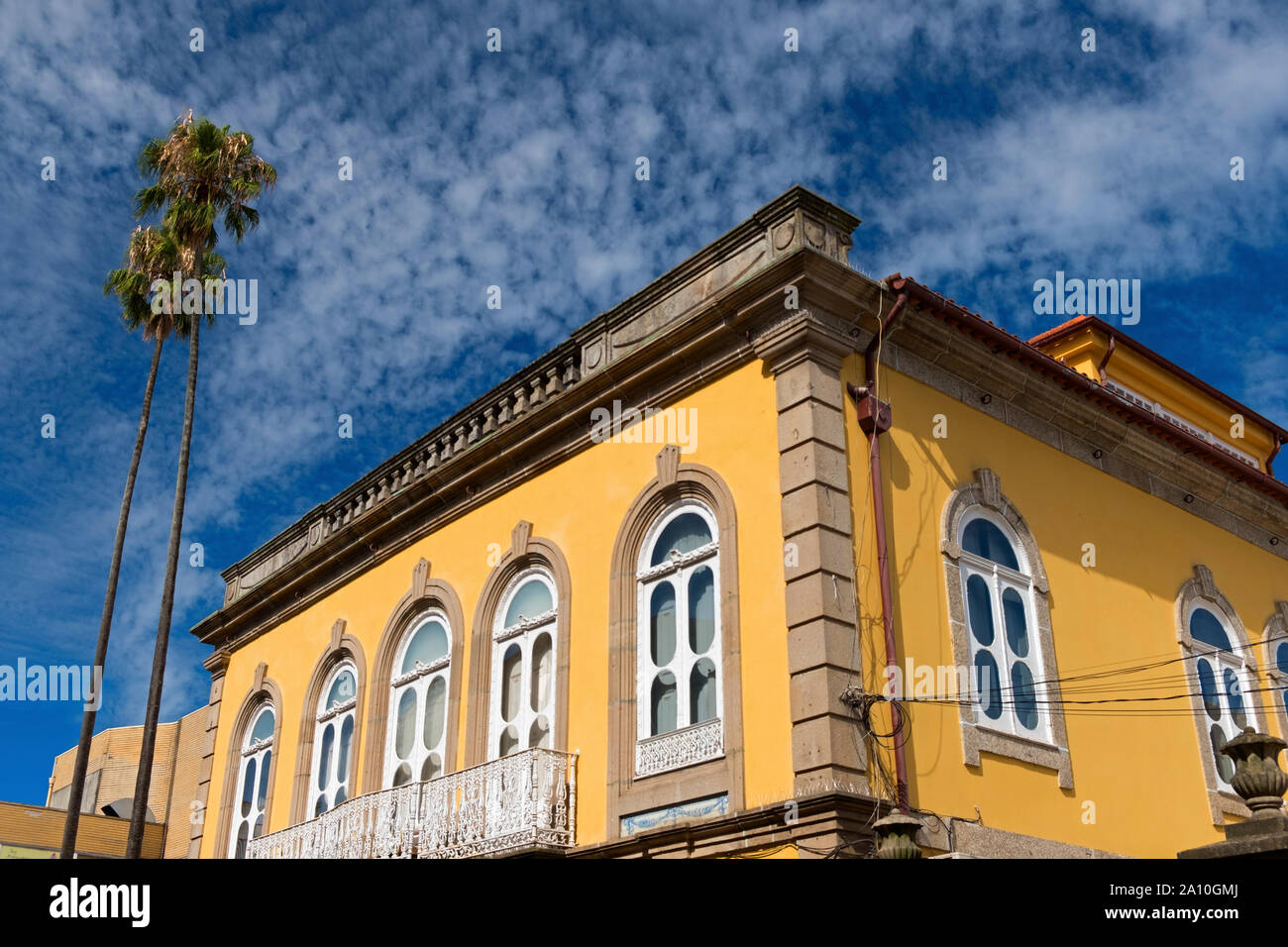 Edificio tradizionale e palme Rua Gil Vicente Guimarães Portogallo Foto Stock