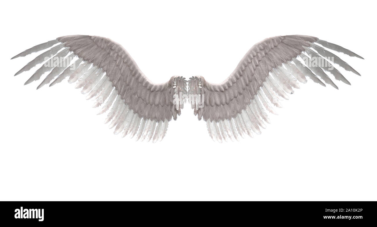 In modo digitale immagine rappresentata di selvaggina di penna bianca ali d'angelo. Foto Stock
