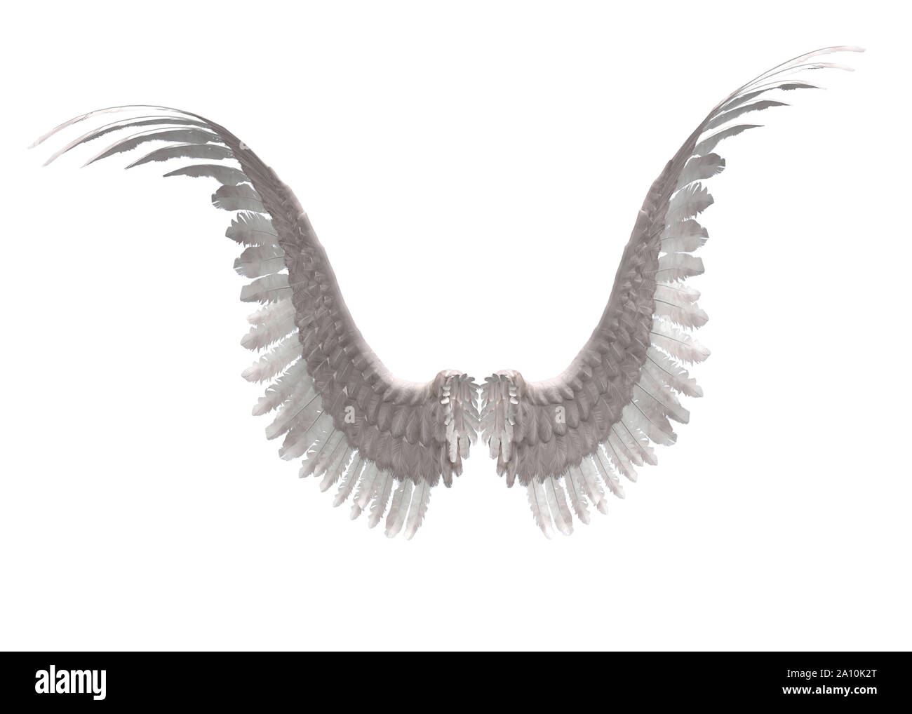 In modo digitale immagine rappresentata di selvaggina di penna bianca ali d'angelo. Foto Stock