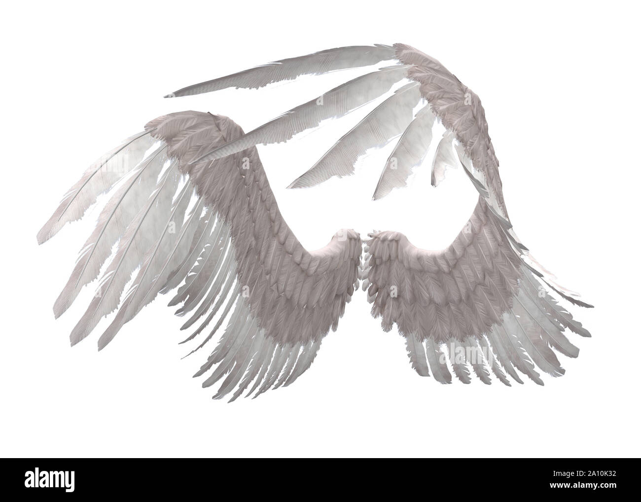 In modo digitale immagine rappresentata di selvaggina di penna bianca ali d'angelo. Foto Stock