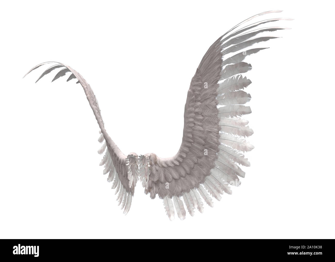 In modo digitale immagine rappresentata di selvaggina di penna bianca ali d'angelo. Foto Stock