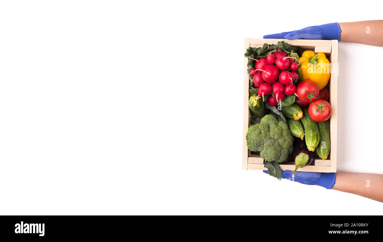 Donna nei guanti di gomma dando grande scatola di legno con verdure Foto Stock