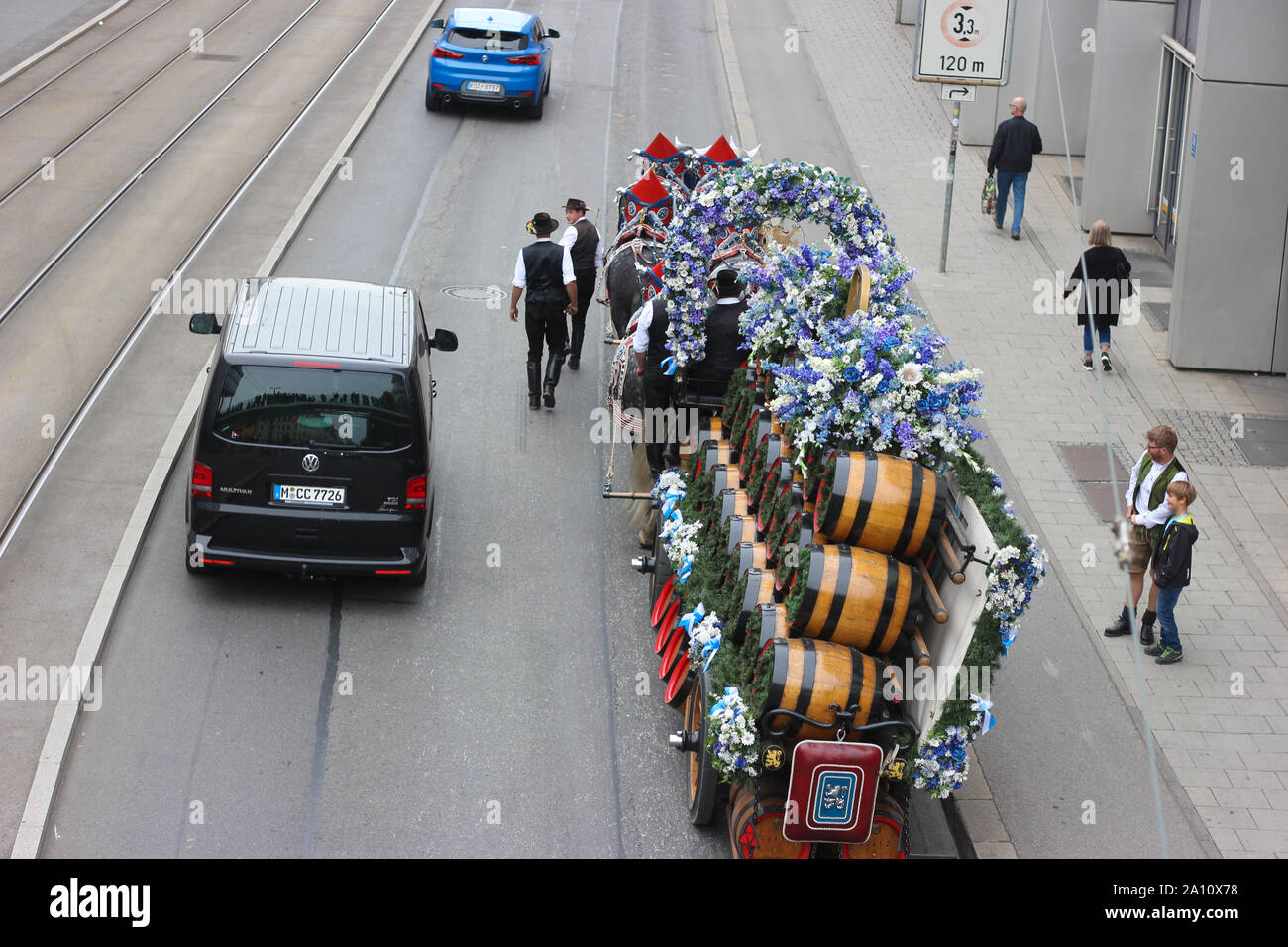 Oktoberfest cavallo e cart su strada accanto alle auto. Cavalli tra il traffico dopo la sfilata di cavalli Oktoberfest. Foto Stock