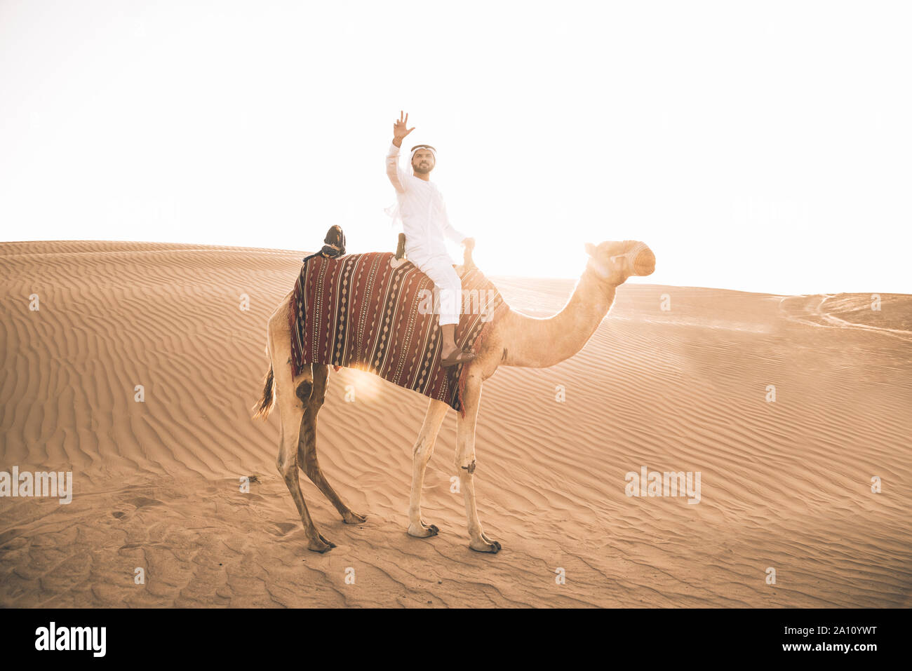 Uomo che indossa gli abiti tradizionali, tenendo un cammello sulla sabbia del deserto, a Dubai Foto Stock