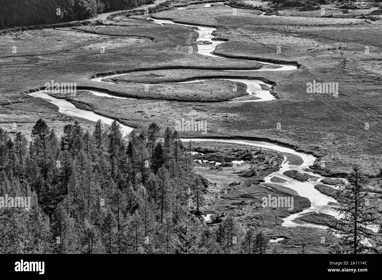 Il Creek, il nero e il bianco paesaggio. Foto Stock