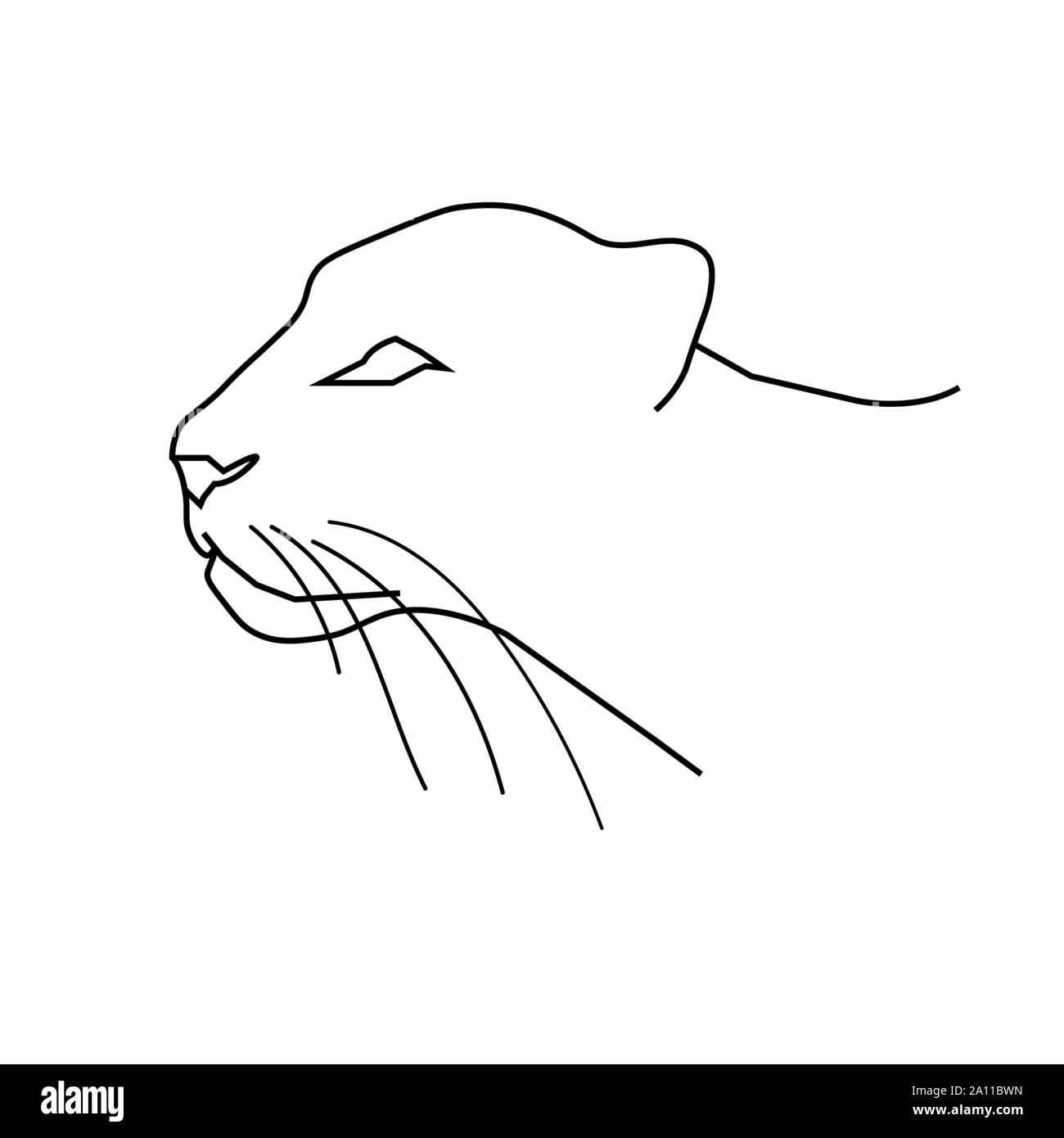 Panther o leopard alla testa. Line art doodle sketch. Contorno nero su sfondo bianco. Sfondo può essere utilizzato in biglietti di auguri, poster, volantini, banner, loghi ecc. Illustrazione Vettoriale. EPS10 Illustrazione Vettoriale