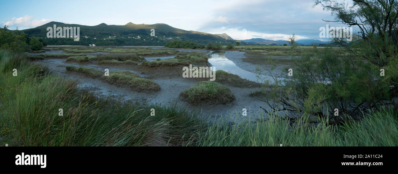 Paludi, Axpe, Riserva della Biosfera di Urdaibai, Bizkaia, Paesi Baschi, Spagna, Europa Foto Stock