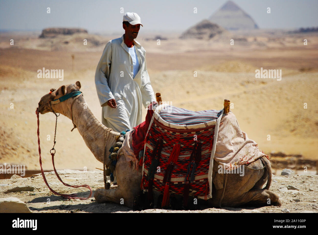 Il Cairo / Giza Egitto - 7 Maggio 2008 - il pilota del cammello nel deserto del Sahara. Bedouin e cammello vicino alle Piramidi. Foto Stock