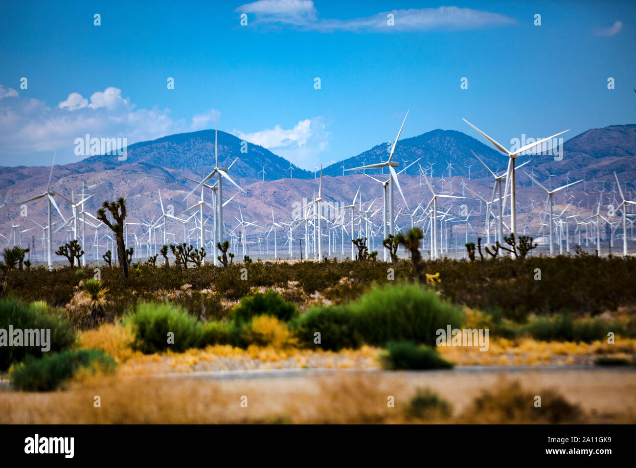 Windpark mit Windrädern in der Nähe von Barstow im kalifornischen entroterra. Ein ganzes Tal ist voll mit den Energiegewinnern. Foto Stock