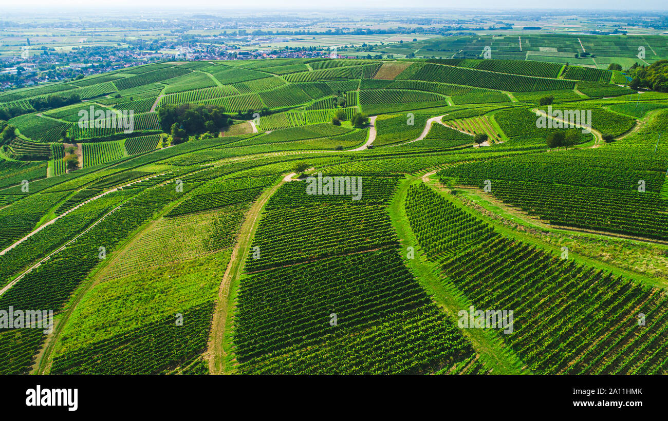 Acquisizione di antenna di uve natura del campo di tiro Drone Foto Stock