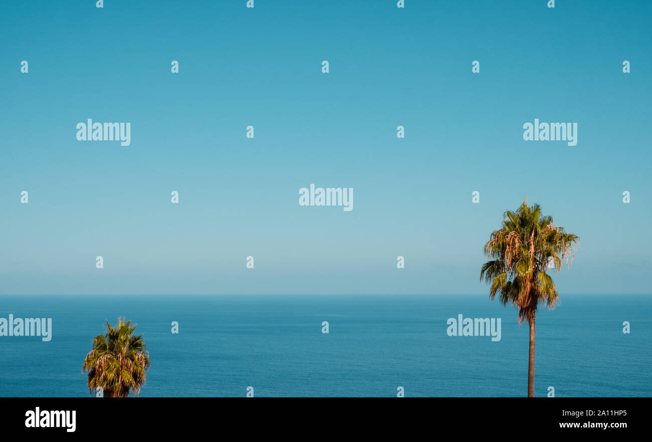 Ocean orizzonte, palme e cielo blu spazio copia - Vacanze estive sullo sfondo Foto Stock Ocean orizzonte, palme e cielo blu spazio copia - Vacanze estive sullo sfondo Foto Stock